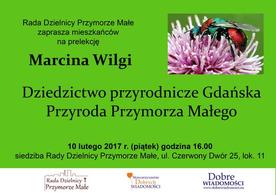10.02.2017 Marcin Wilga plakat1 m