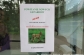 Gepardy Akin i Thabo w oliwskim ZOO Gepardy Akin i Thabo w oliwskim ZOO