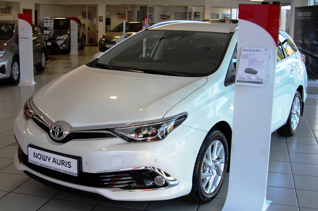 auris1